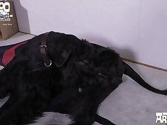 Today She Finally Got Fucked By A Real Cock