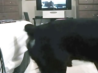 Teen And Her Dog Fuck