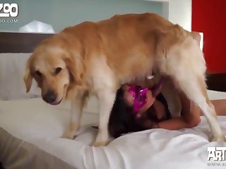 Dog Fuck Women Missionary