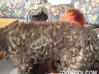 Dog Fuck Hairy Teen