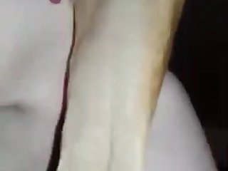 Zoofilia Se Folla Al Caballo
