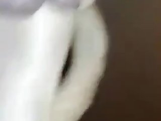 Zoofilia Se Folla Al Caballo