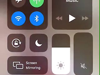 Ver Peliculas Porno Zoofilia