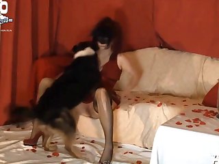 Zoofilia Videos Hombre