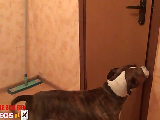Follando Con Perros Zoofilia