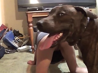 Dog Fucks Guy Porn