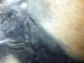 Porno Animal Cu