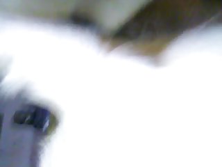 Porno Homem Transando Com Animal