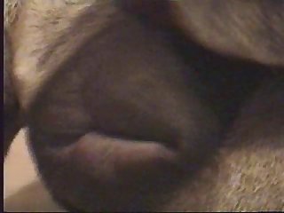 Porno Cosplay Animal
