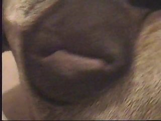 Porno Cosplay Animal