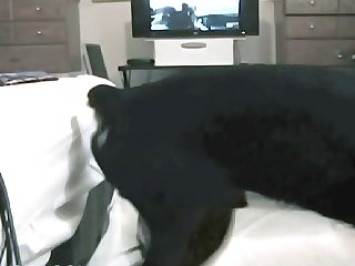 Tanga Xxx Porn