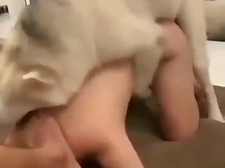 Xxx Video Nigeria Porn