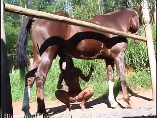 Xxx Porn Videos Cartoons