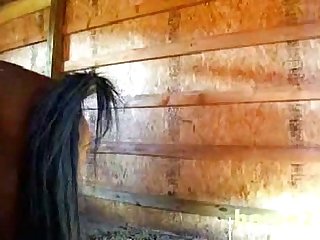 Sherry Birkin Xxx Porn