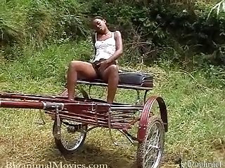 Xxx Hd Porn