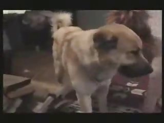 Mama Rug Xxx Porn