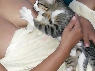 Bbw Xxx Adventures Porn