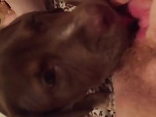 Lena Franki Anal Xxx Porn