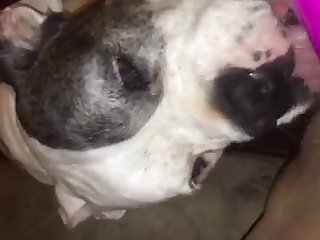 Porn. Xxx. Com