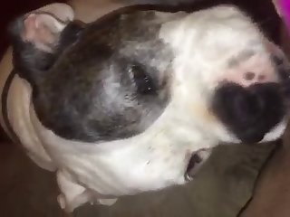 Porn. Xxx. Com