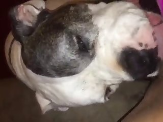 Porn. Xxx. Com