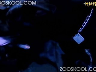 Man Fucks Animal Zoo Porn