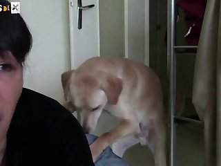 Web Zoo Porn
