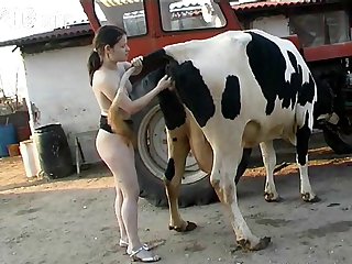 Cartoon Animal Sex Clips