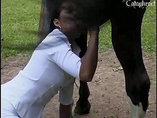 Cow Zoo Porn