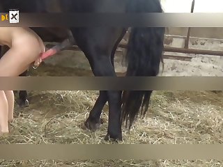 Zoo Porn Beast