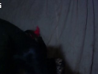 Latina Zoo Porn