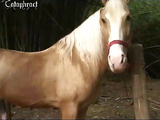 Alison Zoo Porn