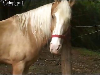 Alison Zoo Porn