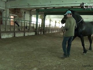 Tracys Dog Porn Video