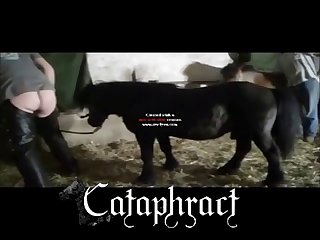 Xxx Xnxx Gif