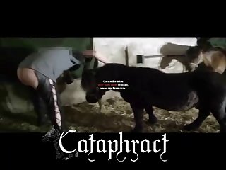 Xxx Xnxx Gif