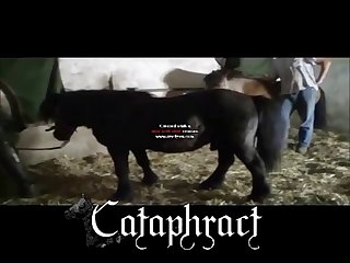 Xxx Xnxx Gif