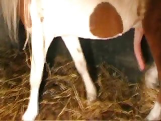 Hindi Xnxx Xxx