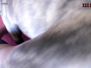 Pornhub Logo Animal Crossing Qr Code