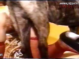My Dog Cum