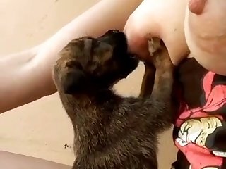 White Girl Fucks Dog Porn