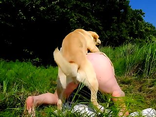 Sheath Fuck Dog