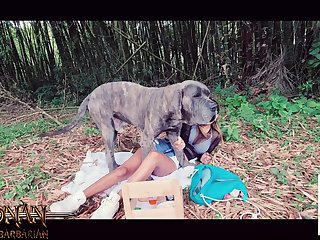 Gif Zoo Porn