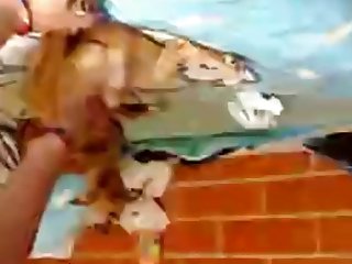 Animal Sex Giral
