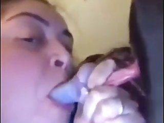 Canine Zoo Porn