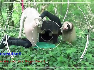 Man Cum In Dog Porn