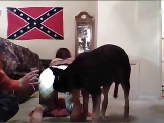 Dog Porn Rough