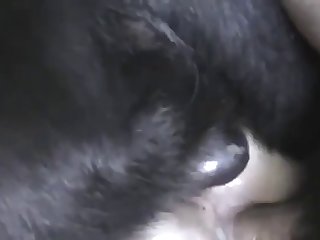 Woman Have Sex With Dog Porn