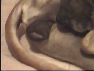 Whats Art Of Zoo