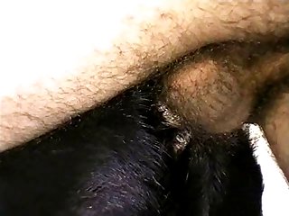 Dog Porn Sfm